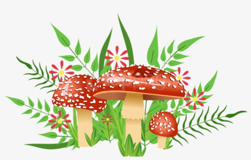 Free Png Download Mushrooms Decorative Element Clipart - Kids, transparent png #9715775
