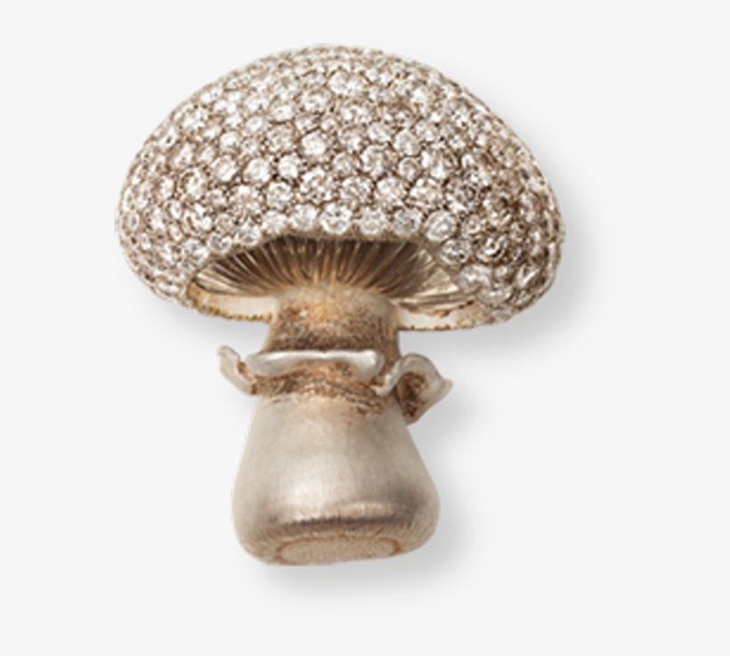 Shiitake, transparent png #9715821