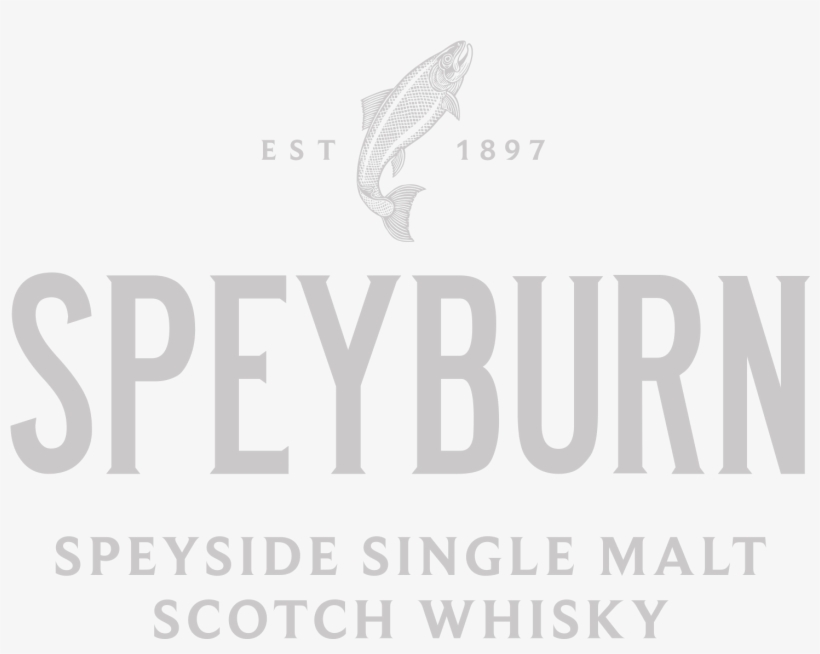 To Visit Our Website, You Must Be Of An Age At Which - Calligraphy, transparent png #9716810