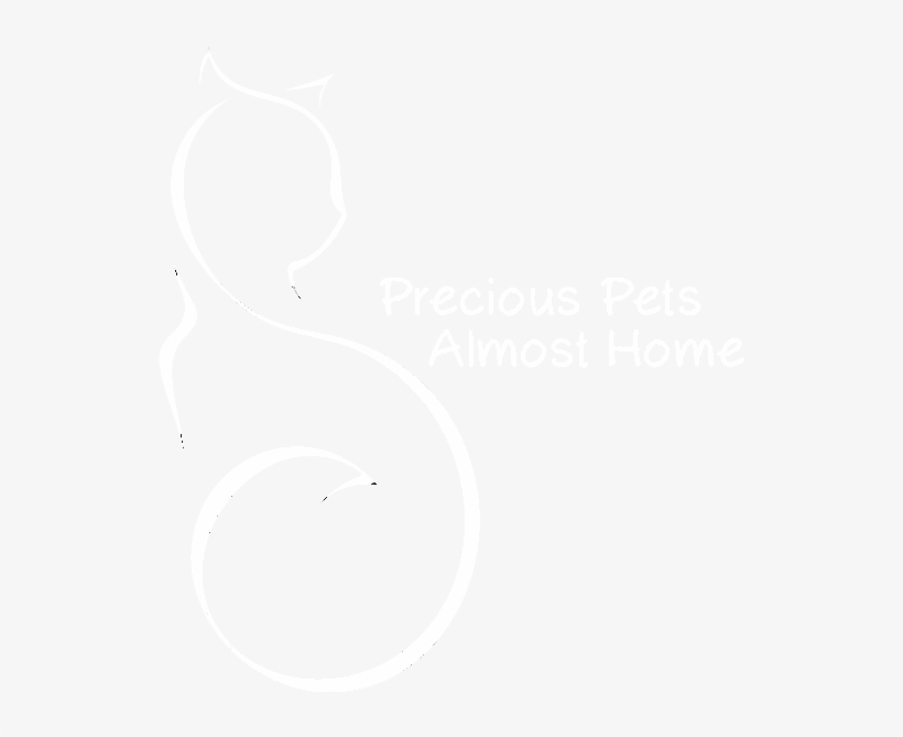 Twinkle Png - Monochrome, transparent png #9716811