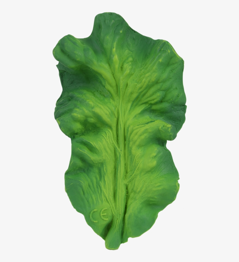 Oli & Carol Kendall The Kale - Feuille De Chou, transparent png #9717057
