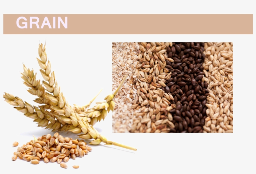 Grain Png Pic - Flour Made, transparent png #9718260