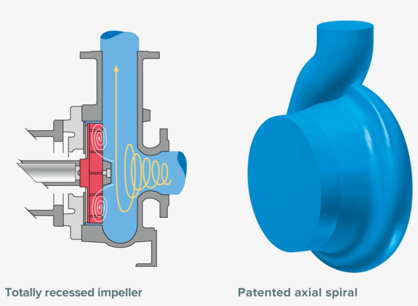 Hydraulics For Vortex Pumps T - Egger Pumps, transparent png #9718566