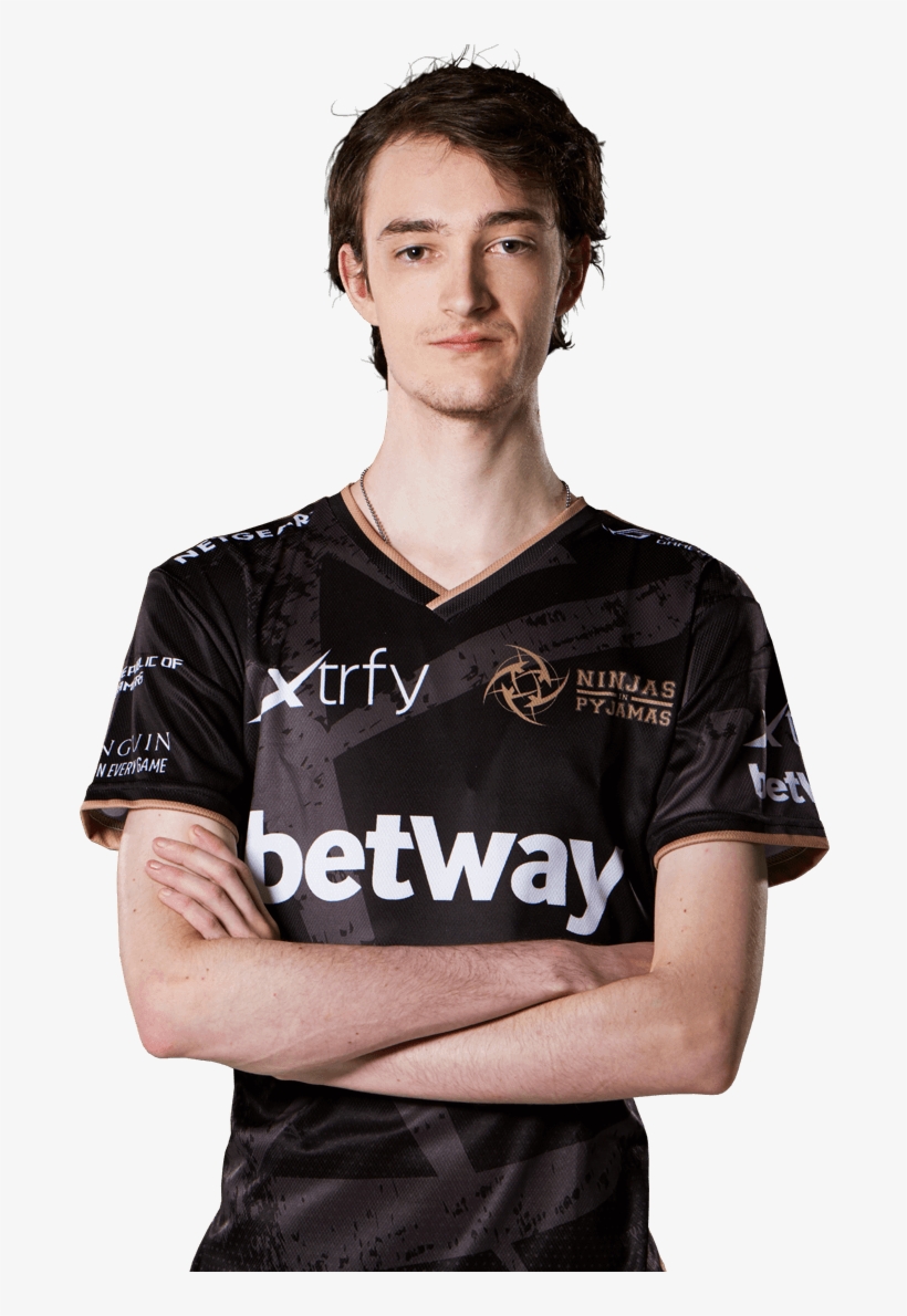 Bird - Ninjas In Pyjamas Paladins, transparent png #9720514
