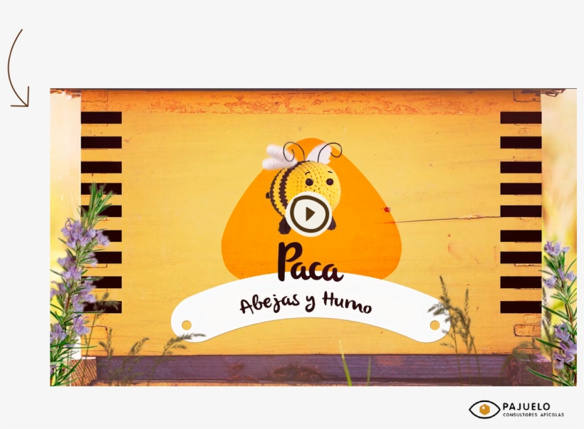 Ahora Ya Sabéis Que El Humo Provoca En Nosotras Una - Abeja Paca, transparent png #9722362