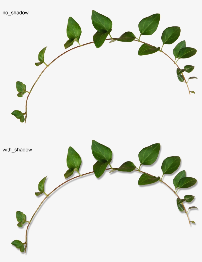 Abf A Be F Orig Flora - Вьюн Пнг, transparent png #9723188