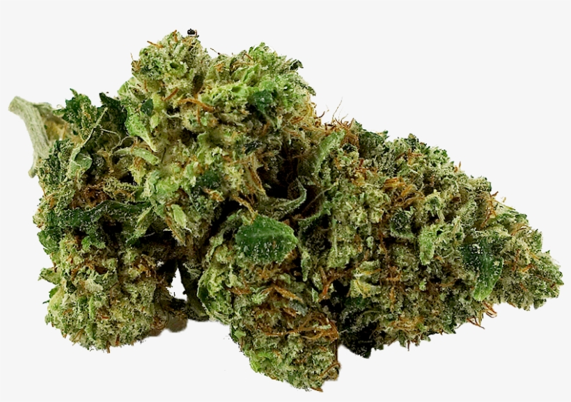 1487711491-2281 - Moss, transparent png #9723322