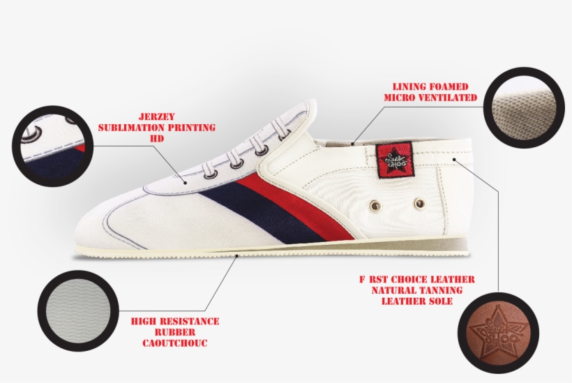 Sugashoo Anatomy - Sneakers, transparent png #9723399