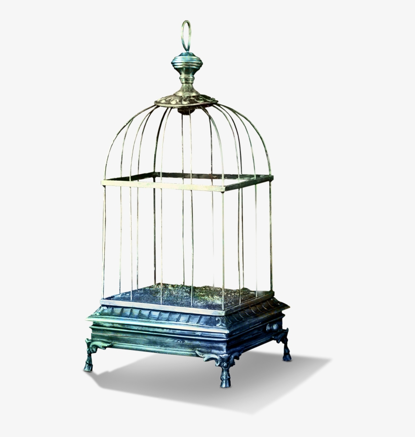 Tubes Bird Cage Png, transparent png #9724327
