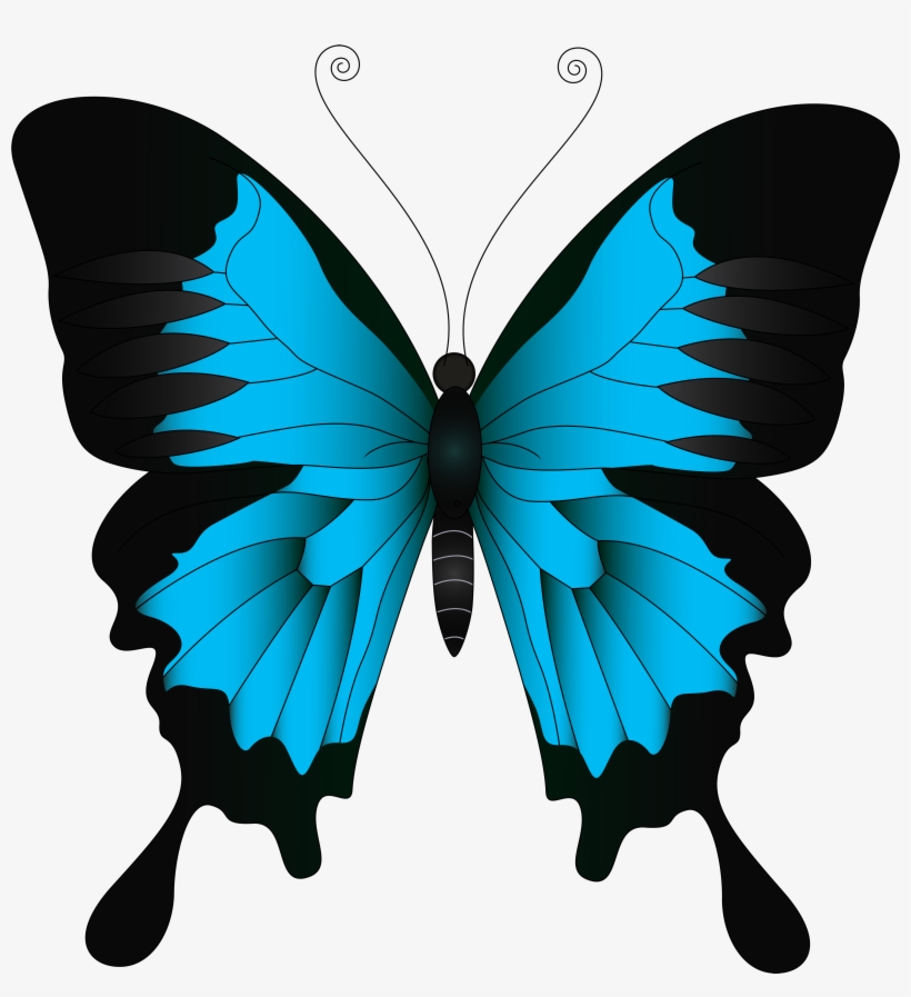 Blue Butterfly Png Clip Art Image - Yellow Butterfly Clipart, transparent png #9724911
