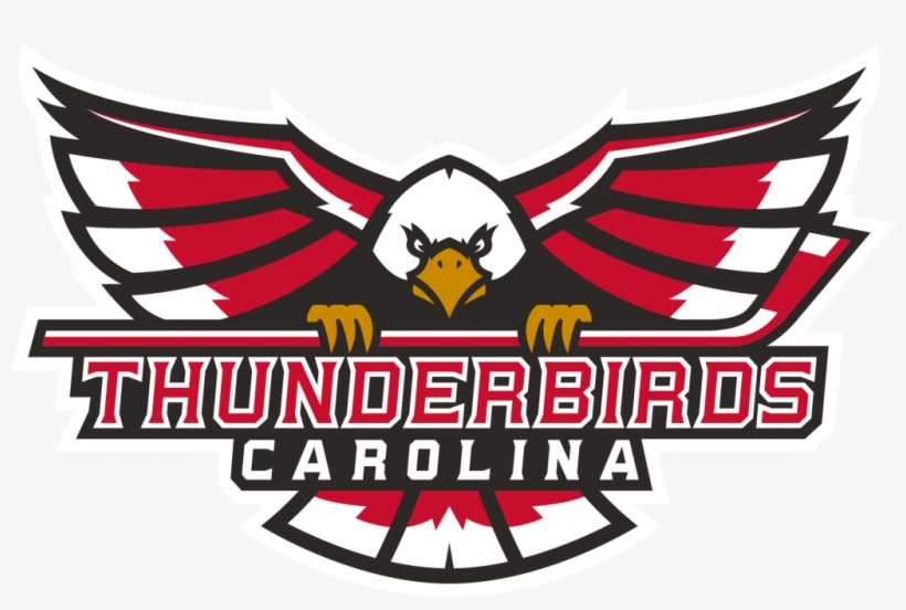 21, 2017 The City Of Winston Salem Recreation & Parks - Winston Salem Thunderbirds Hockey, transparent png #9725022