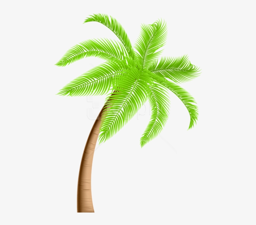 Free Png Download Palm Tree Png Png Images Background - Palm Tree Clipart Png, transparent png #9726545