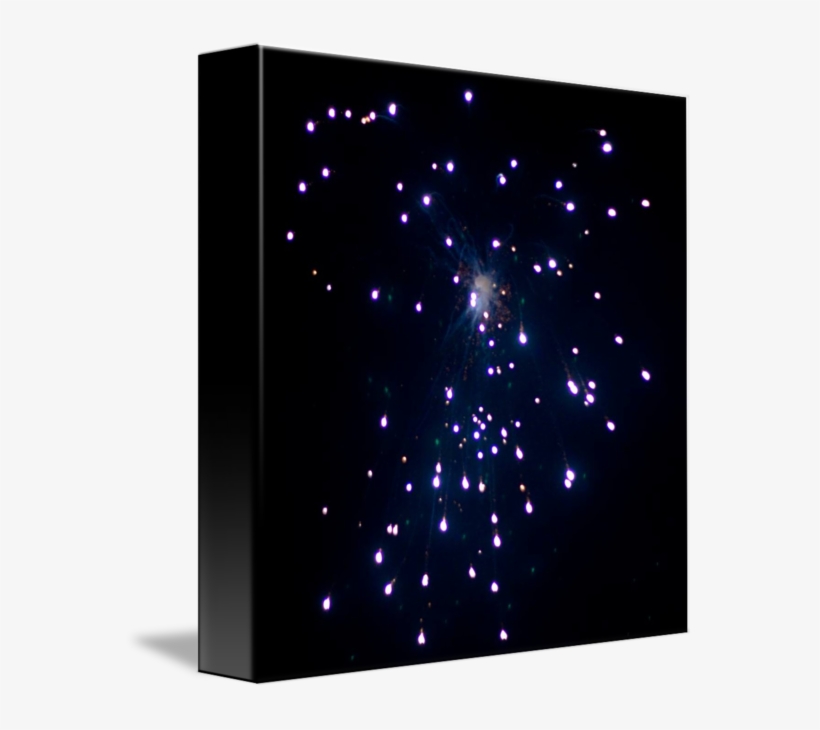 570 X 650 0 - Star, transparent png #9727526