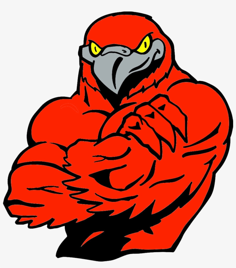 Falcons Basketball Clipart - Falcon Bird With Muscles, transparent png #9728101