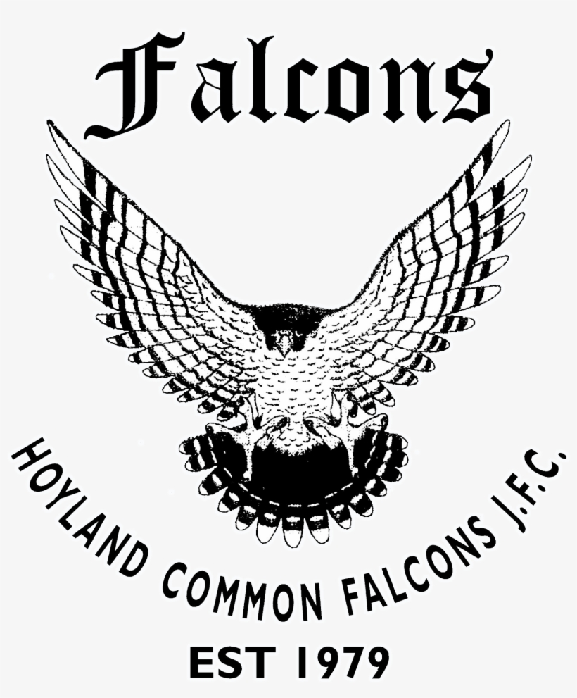 Hoyland Common Falcons Jfc - Valley View Middle School, transparent png #9728328