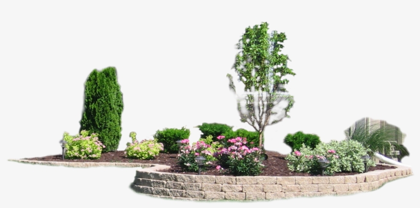 Expand Your Outdoor Living Space - Bonsai, transparent png #9728800
