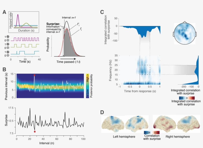 Our Model-based Estimates Of Surprise Varied Substantially - Diagram, transparent png #9728807
