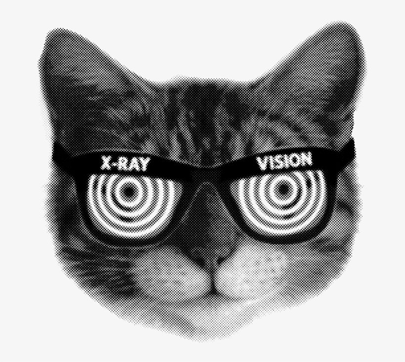 Cat Head X Ray Vision Kitten Kitty Furball Funny Humor - Котов, transparent png #9729190