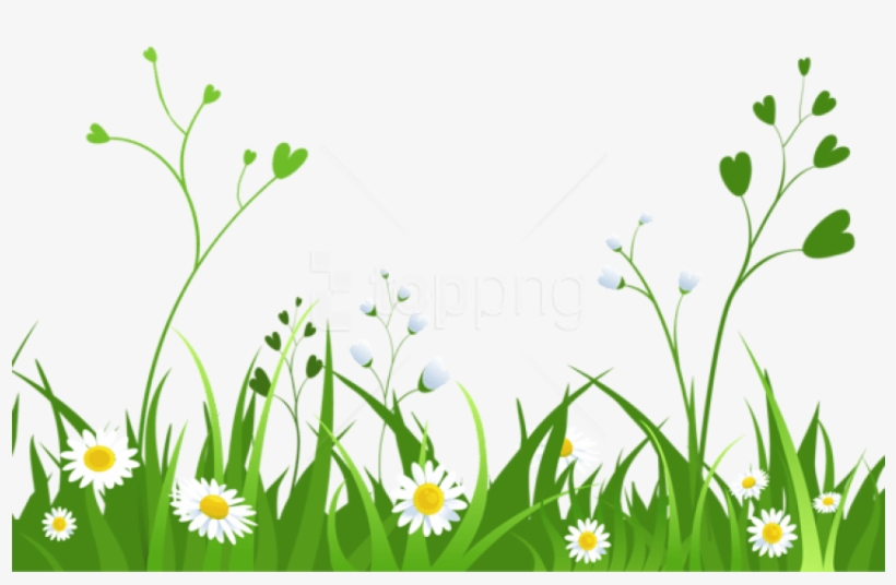 Download Daisies With Grasspicture Png Images Background - Nature Clipart Transparent Background, transparent png #9730390