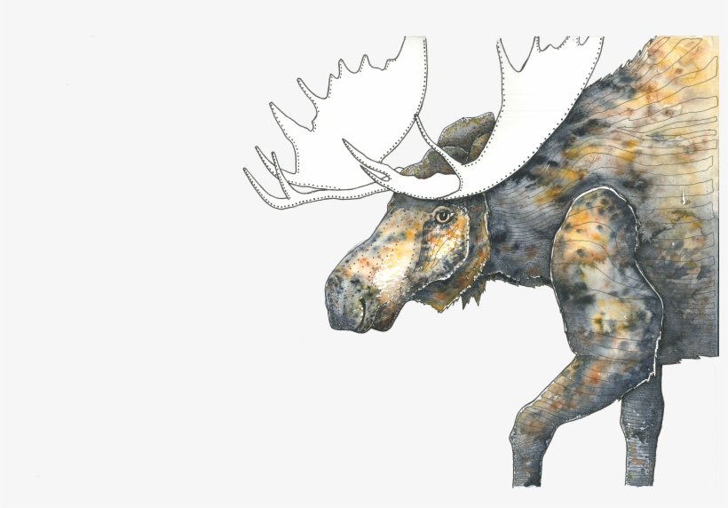 Illustration, transparent png #9730717