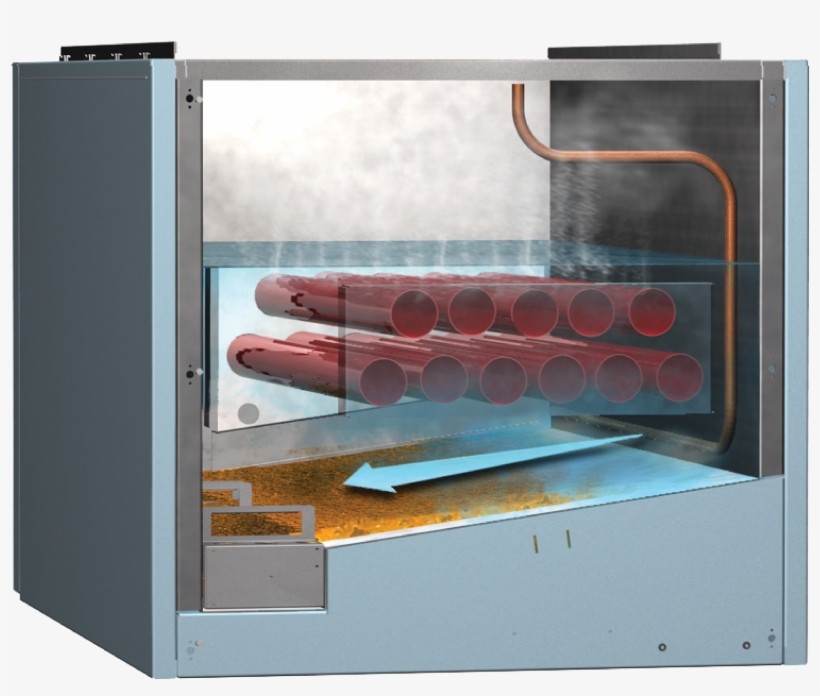 Ease Of Maintenance With Comprehensive Scale Management - Plywood, transparent png #9731484