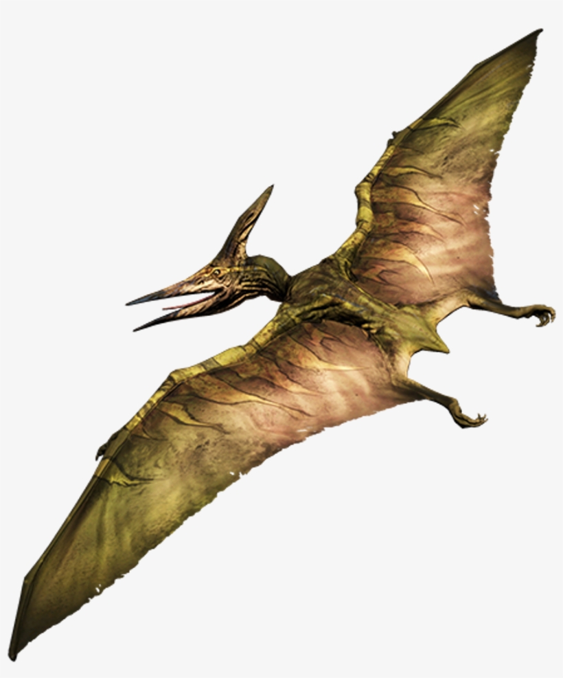 #dinosaur #pterodactyl #flyingdinosaur #flying #prehistoric - Primal Carnage Extinction Pteranodon Png, transparent png #9731526
