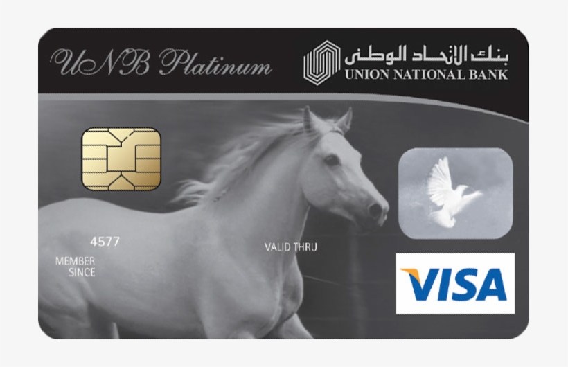 Unb Platinum Card - Hdfc Rewards Debit Card, transparent png #9732913