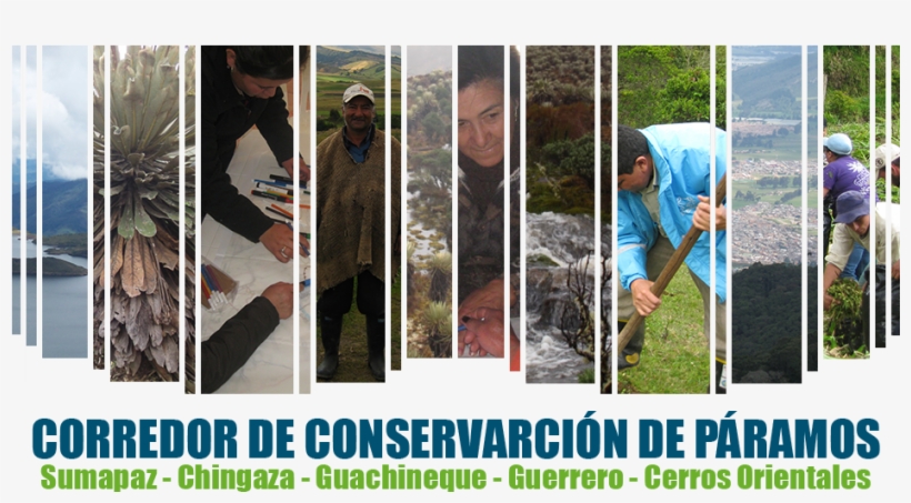 Main Banner Home - Creditos, transparent png #9733383