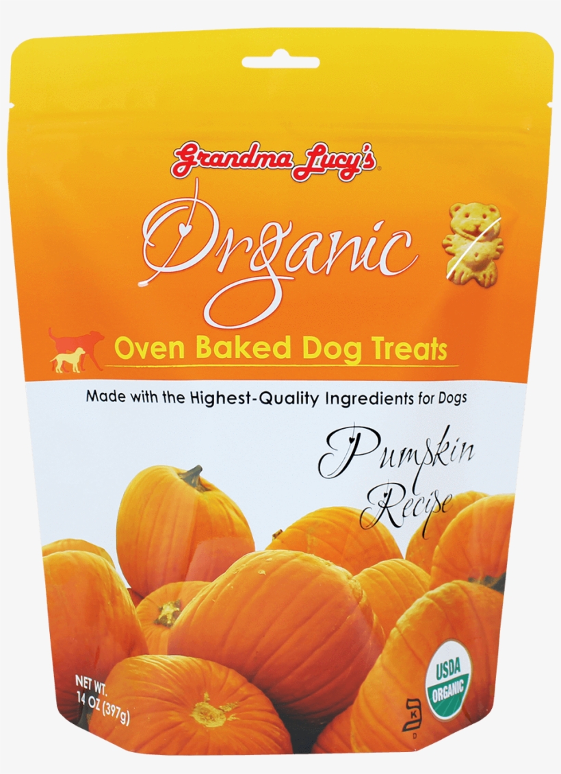 O Pumpkin Front - Pumpkin, transparent png #9733468