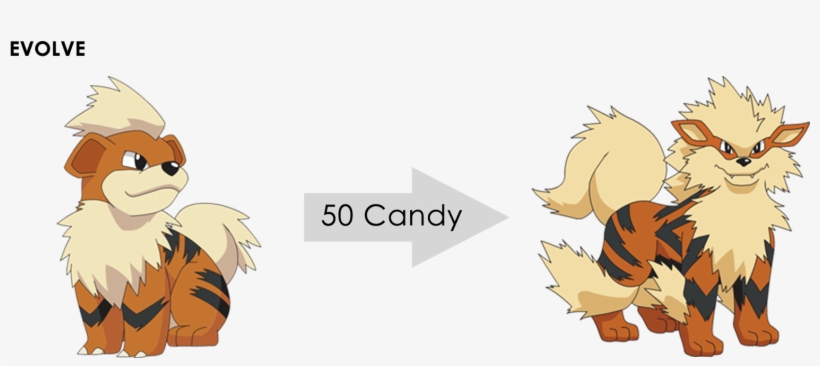 Arcanine Resist Type - Pokemon Image With Name, transparent png #9733636