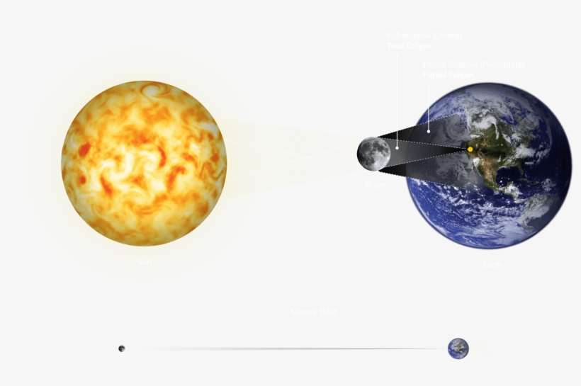 The Moon Moves Right To Left In Its Orbit Around The - Earth, transparent png #9735014