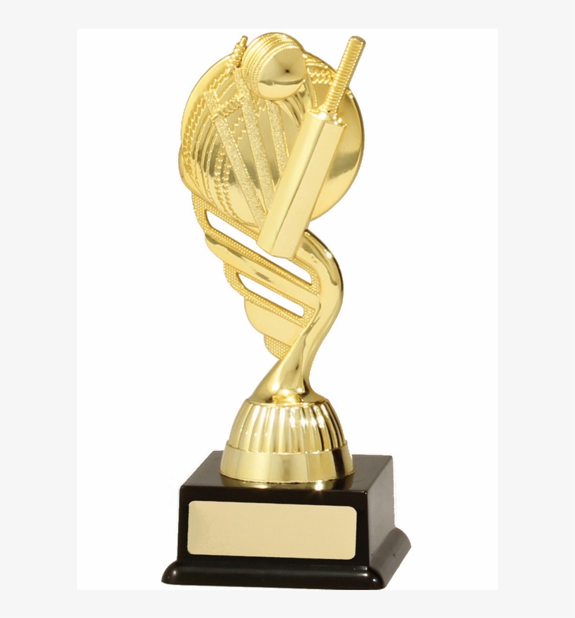 Plastic Trophy For Cricket, transparent png #9735392