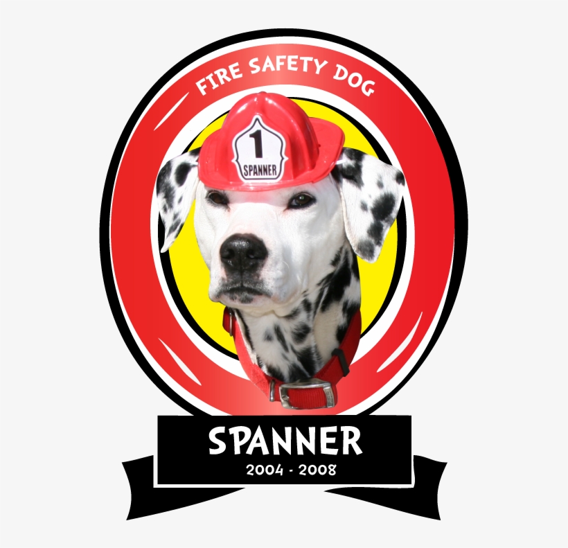 Found On The Side Of The Road In The Tulsa Area, Spanner - Dalmatian, transparent png #9735418