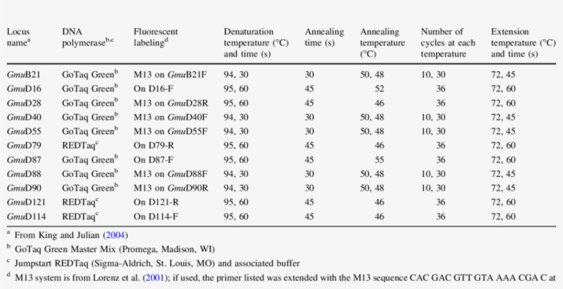 Pcr Protocol For Each Locus - Approximate String Matching, transparent png #9736545
