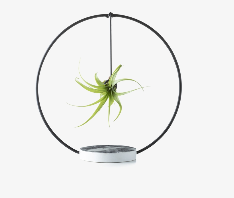 Eclipse - Circle, transparent png #9736549