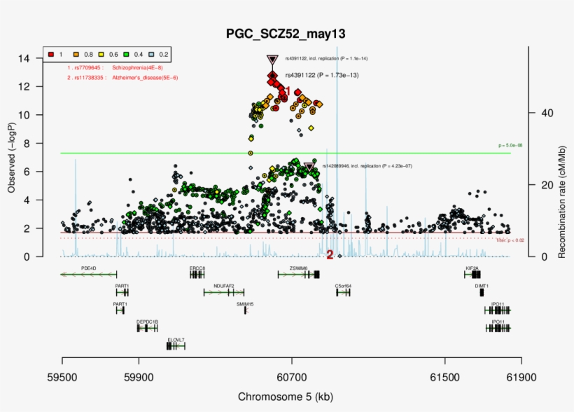 Locus Rank - Diagram, transparent png #9737330
