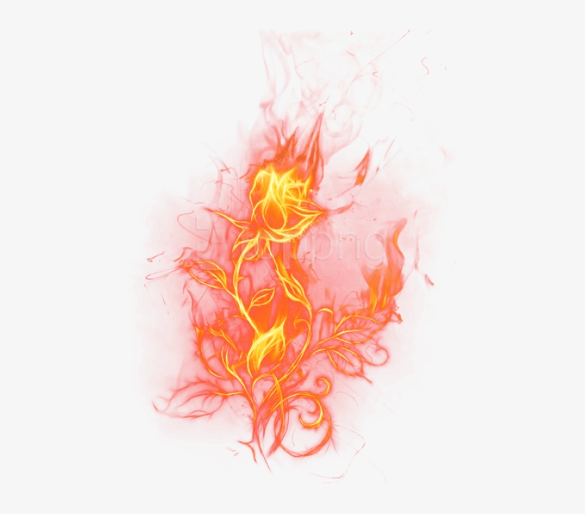 Free Png Download Transparent Fire Rosepicture Png - Light Rose On Fire, transparent png #9739276