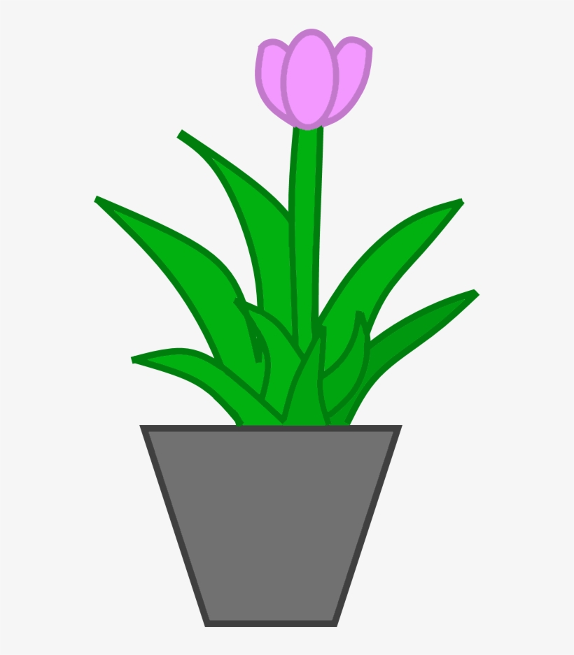 Potted Plant Png - Flowerpot, transparent png #9739482