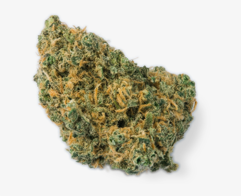 Pacific Juniper - Gorilla Glue Strain 2, transparent png #9740222