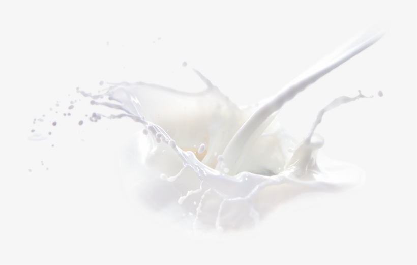 Feel Better Fast - Macro Photography, transparent png #9740343