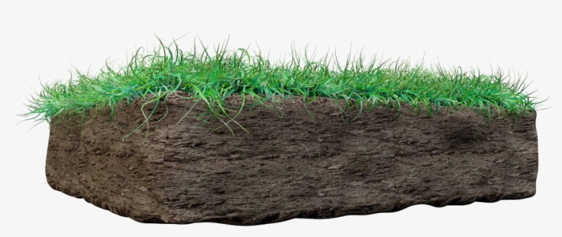 Soil Png - Lawn, transparent png #9740791