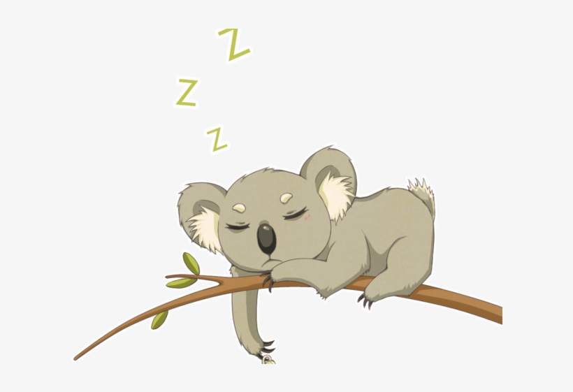 Коала картинки мультяшные