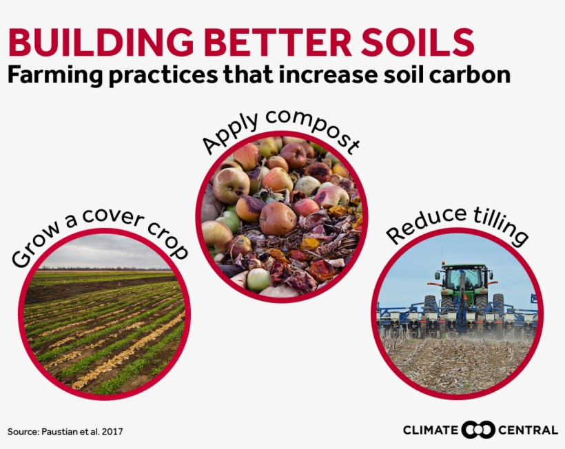 Jpg • Png - Cash Crop, transparent png #9741464