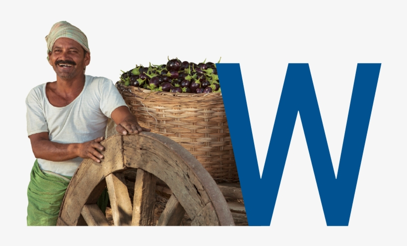 To Transform The Agri-products Supply Chain - Plantation, transparent png #9741529