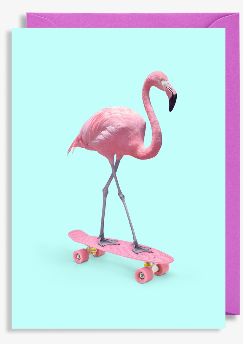 3504 X 3753 3 - Skate Flamingo, transparent png #9742043