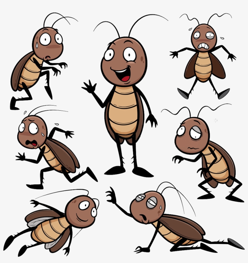 1023 X 1023 10 - Cartoon Cockroaches, transparent png #9742648
