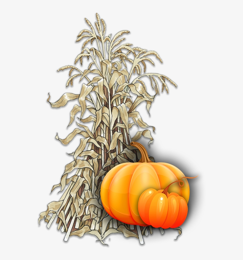 Text-pumpkins - Pumpkin, transparent png #9743402