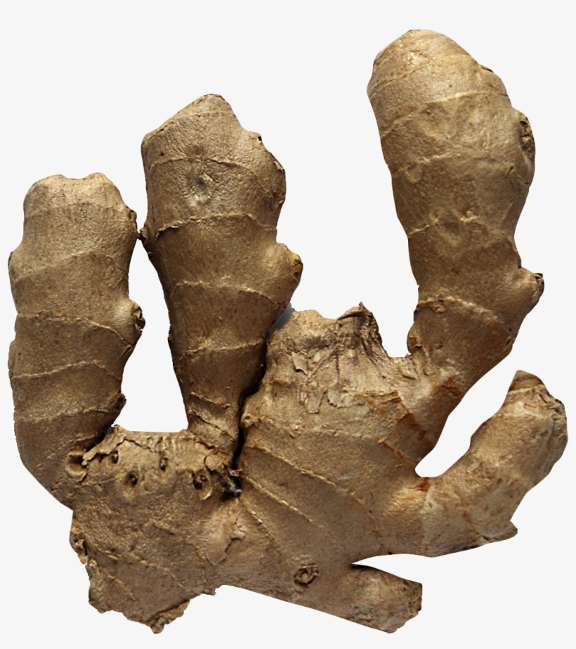 Download Ginger Png Image - Ginger, transparent png #9743951