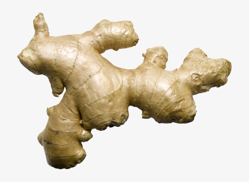 Ginger - Fresh Ginger, transparent png #9744171