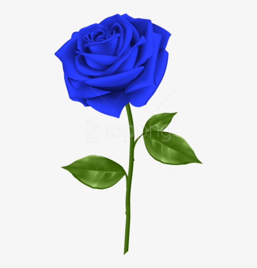Free Png Download Blue Rose Png Images Background Png - Blue Rose Transparent Background, transparent png #9744174